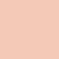 Benjamin Moore Color 1198 Antique Coral