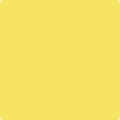 Benjamin Moore Color 335 Delightful Yellow