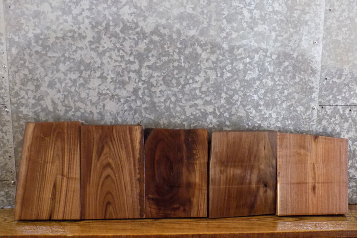 5- Salvaged Black Walnut Kiln Dried Lumber Boards/Craft Pack 13536-13537