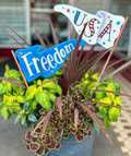 Americana: Freedom & USA Pennant Metal Flag Stakes