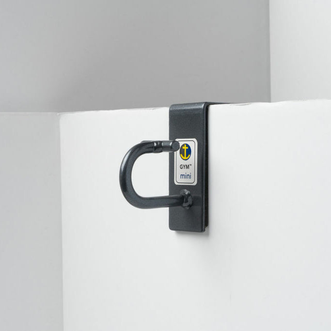 Anchor Gym Door Mini H1
