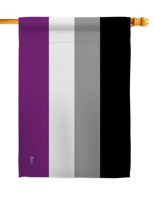Asexual Pride Decor Flag