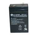 Battery, Vulcan/Fire Vulcan - GhillieSuitShop