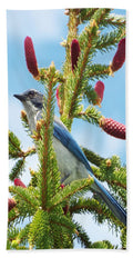 Blue Jay Watches - Bath Towel