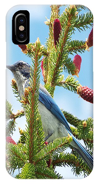 IPhone X Case