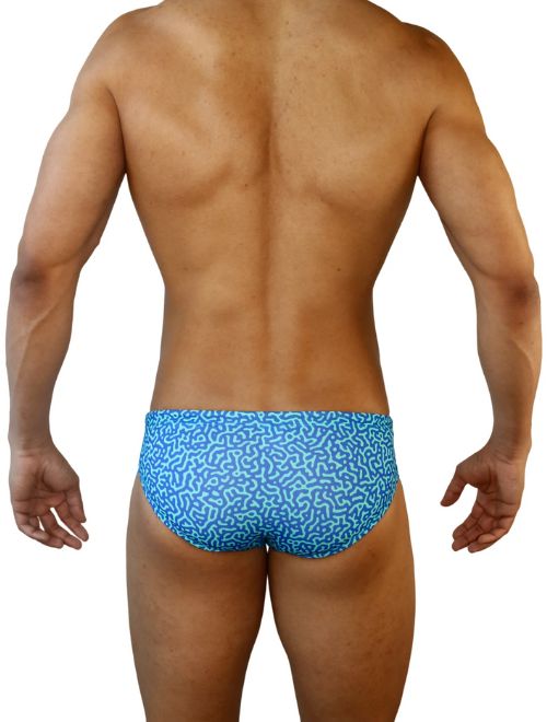 Blue Tahquitz Canyon Basic Swim Brief