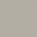 Shop CSP-105 Smoke & Mirrors by Benjamin Moore at Catalina Paint Stores. We are your local Los Angeles Benjmain Moore dealer.