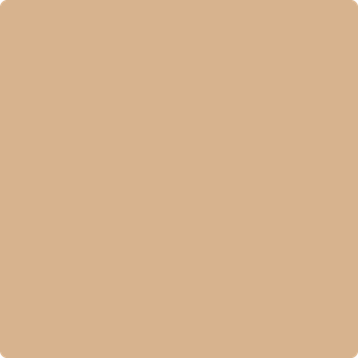 Shop CSP-1065 Natural Leather by Benjamin Moore at Catalina Paint Stores. We are your local Los Angeles Benjmain Moore dealer.