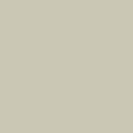 Shop CSP-130 Doily by Benjamin Moore at Catalina Paint Stores. We are your local Los Angeles Benjmain Moore dealer.