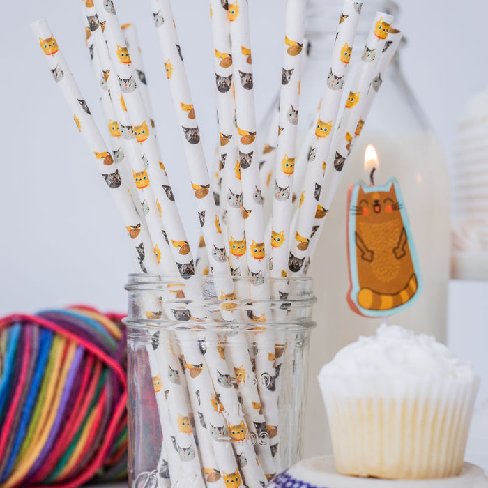 Cute Kitten Paper Straws