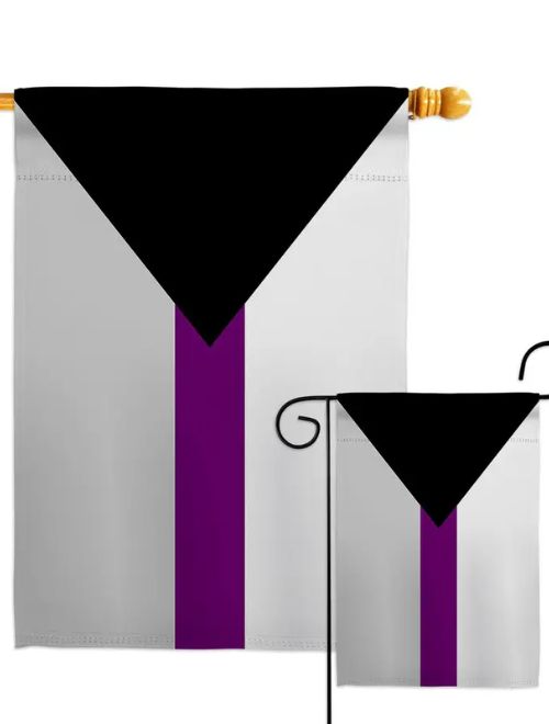 Demisexual Pride Decor Flag