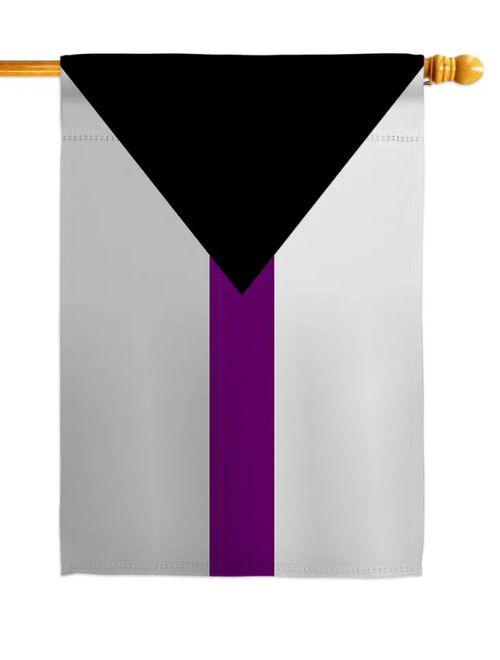 Demisexual Pride Decor Flag