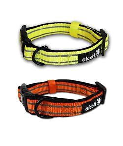 Dog Collar 1" Nylon 20"