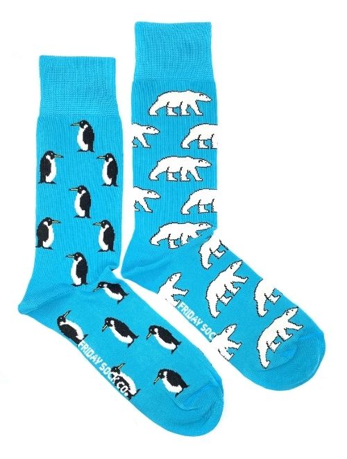 Friday Polar Bear & Penguin