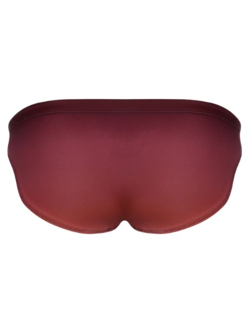 Full Swim Brief - Bronze