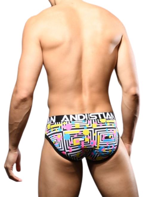 Geometric Brief