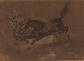 Horses running