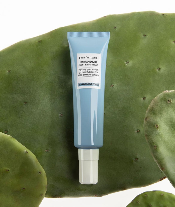 Hydramemory Light Sorbet Cream