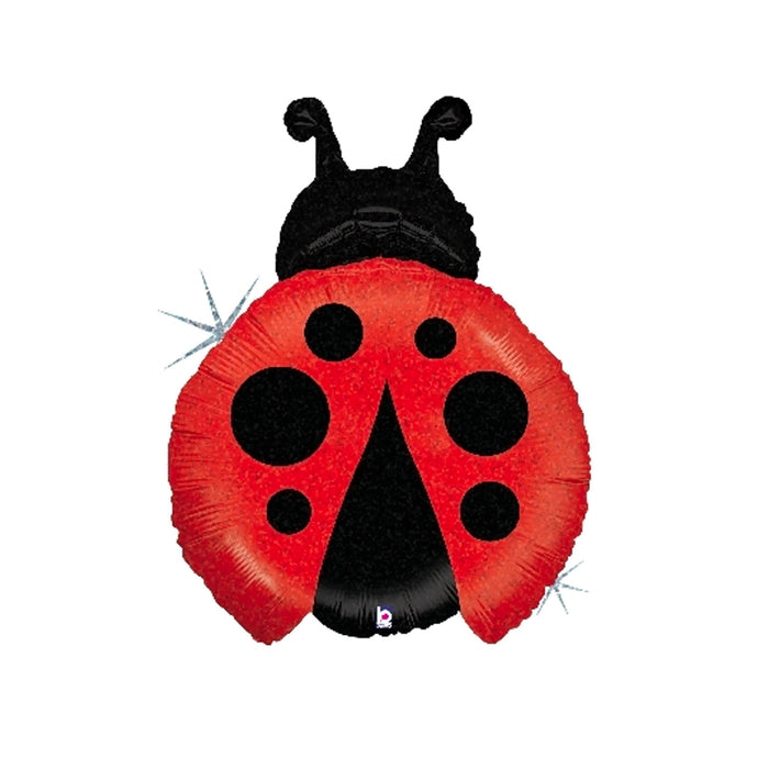 Ladybug Balloon