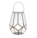 Large Terrarium - Wilson Lee