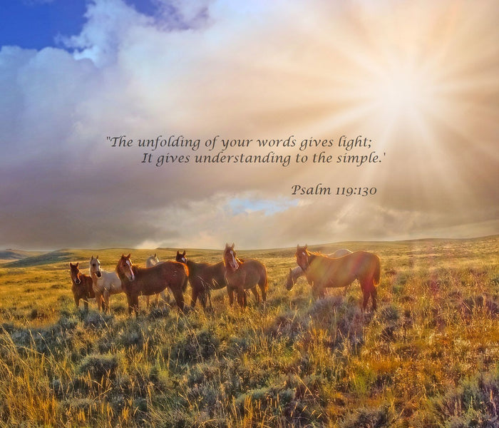 Led by the Light Inspirational Canvas Print