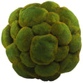 Medium Moss Sphere - Wilson Lee