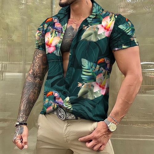 4XL / Army Green