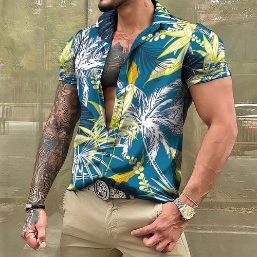 4XL / Green