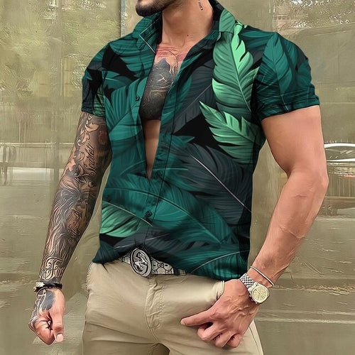 4XL / Khaki
