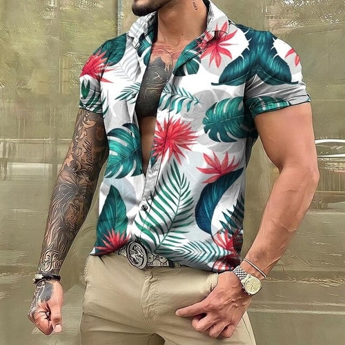 4XL / Turquoise