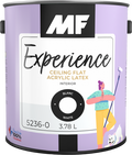 MF Paints Experience