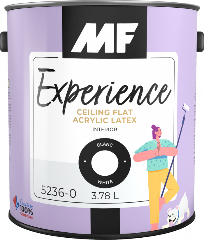 MF Paints Experience