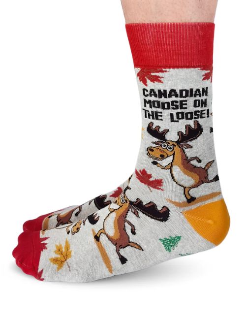 Moose on the Loose