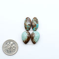 Number 8 Turquoise cabochons, blue and green color with brown matrix, polished stones on a white background, with a US dime for scale