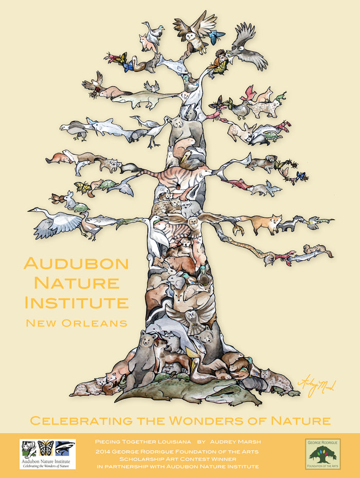 Piecing Together Louisiana poster by Audrey Marsh  18 X 24