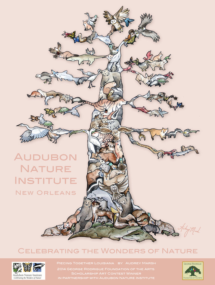 Piecing Together Louisiana poster by Audrey Marsh  18 X 24