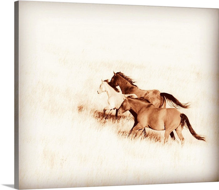 Prairie Wild Canvas Print