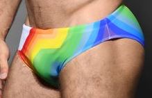 Pride Vision Bikini