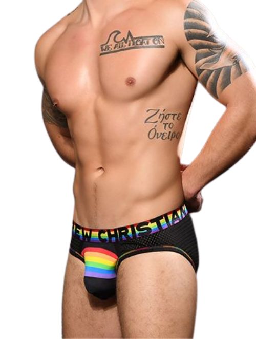Rainbow Arch Mesh Brief