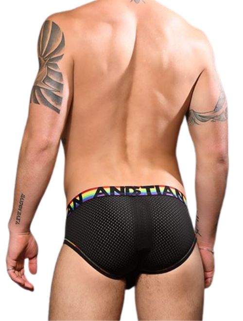 Rainbow Arch Mesh Brief
