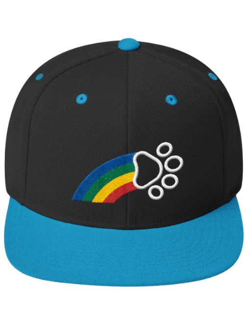 Rainbow Paw Hat
