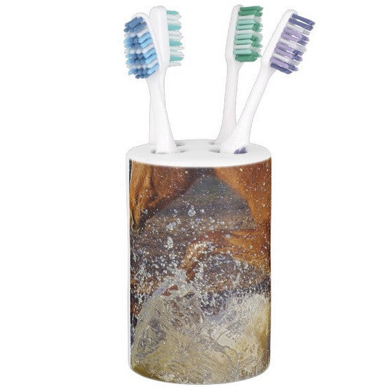 Splash Bathroom Set