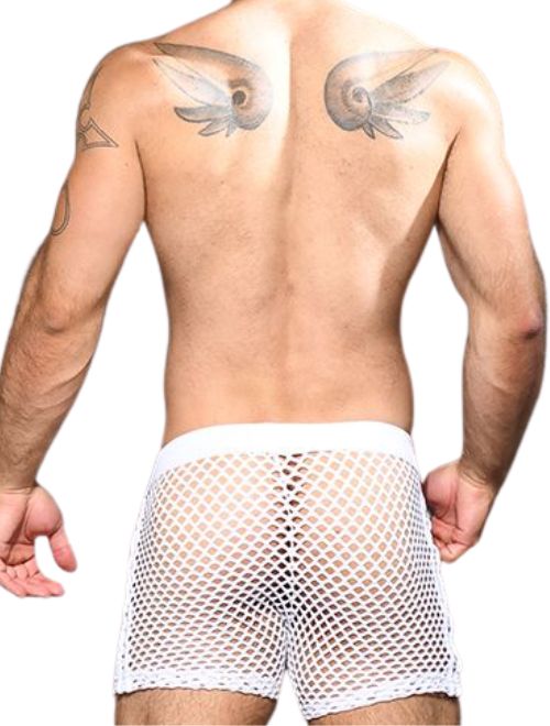 Summer Mesh Shorts
