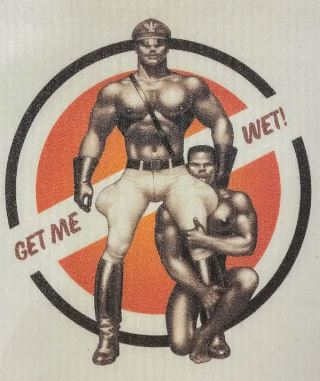Tom of Finland Swedish Dish Cloths