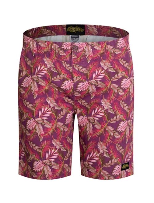 Townie Shorts Darwin