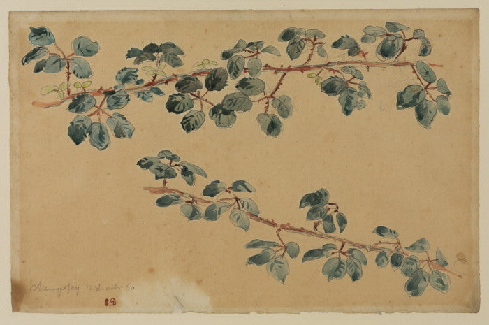 Two branches with leaves by Eugène Delacroix Reproduction Painting by Blue Surf Art