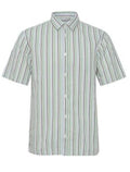 Vertical Stripe Cotton Short Sleeve