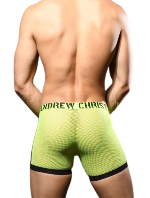 Vivid Mesh Boxer
