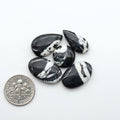 White Buffalo stone cabochons, white stone with black matrix, polished stones on white background with US dime for scale