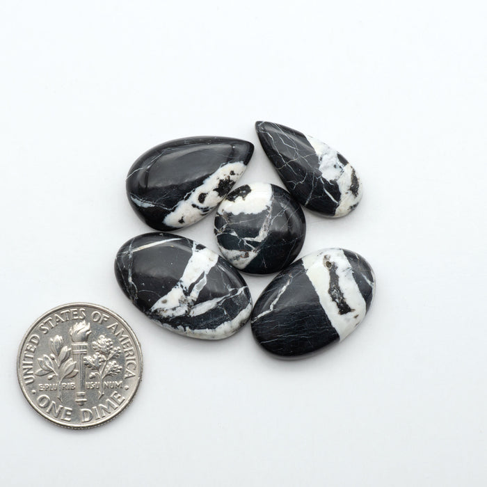 White Buffalo stone cabochons, white stone with black matrix, polished stones on white background with US dime for scale